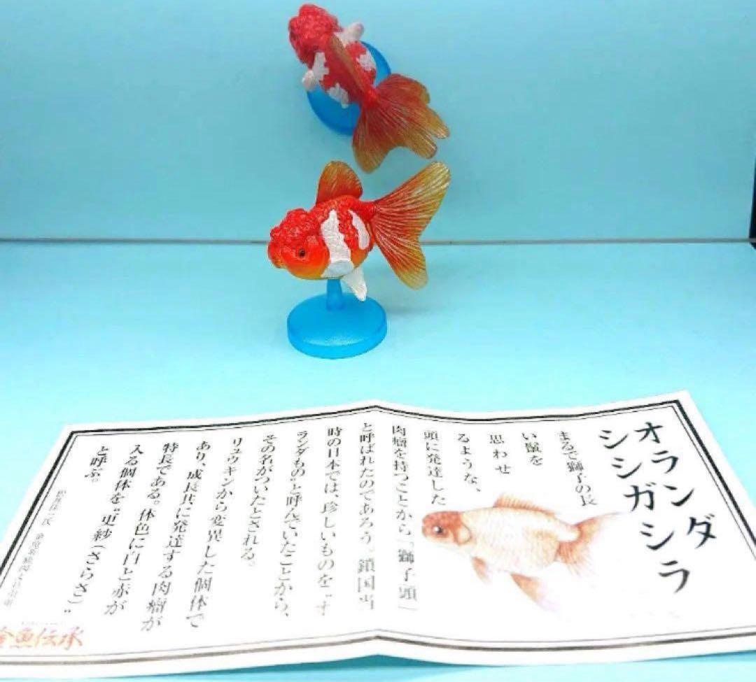 希少【金魚伝承】 金魚伝来500年記念フィギュア ノーマルコンプ１０種