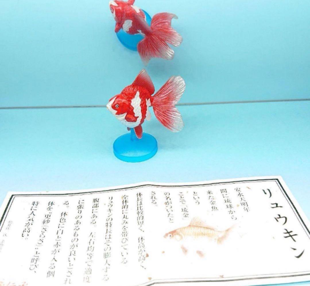 希少【金魚伝承】 金魚伝来500年記念フィギュア ノーマルコンプ１０種