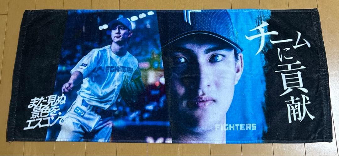 【meg3様】日本ハム　達孝太　タオル　まだ見ぬ景色を、エスコンで　他一枚