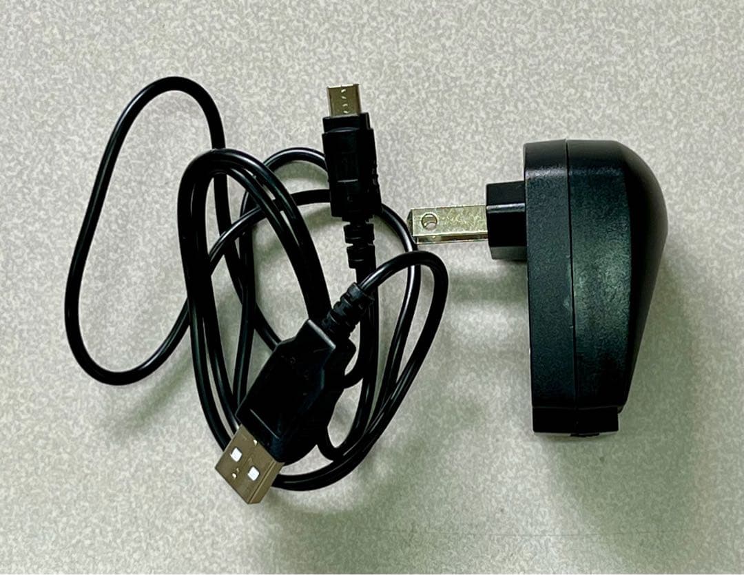 か*ず様 Eagle Vision GPSゴルフナビ EV-421