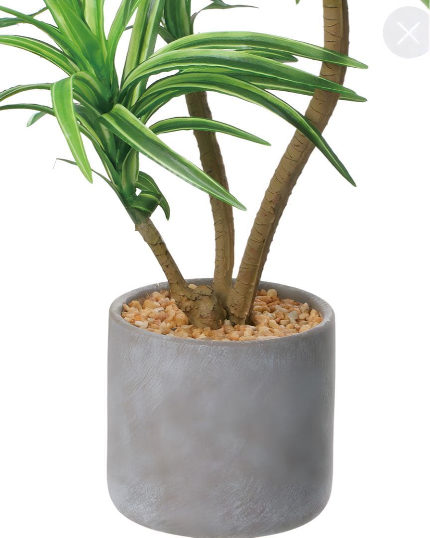 光触媒　人工観葉植物　ウォールグリーン　フェイクグリーン　コンクリユッカ