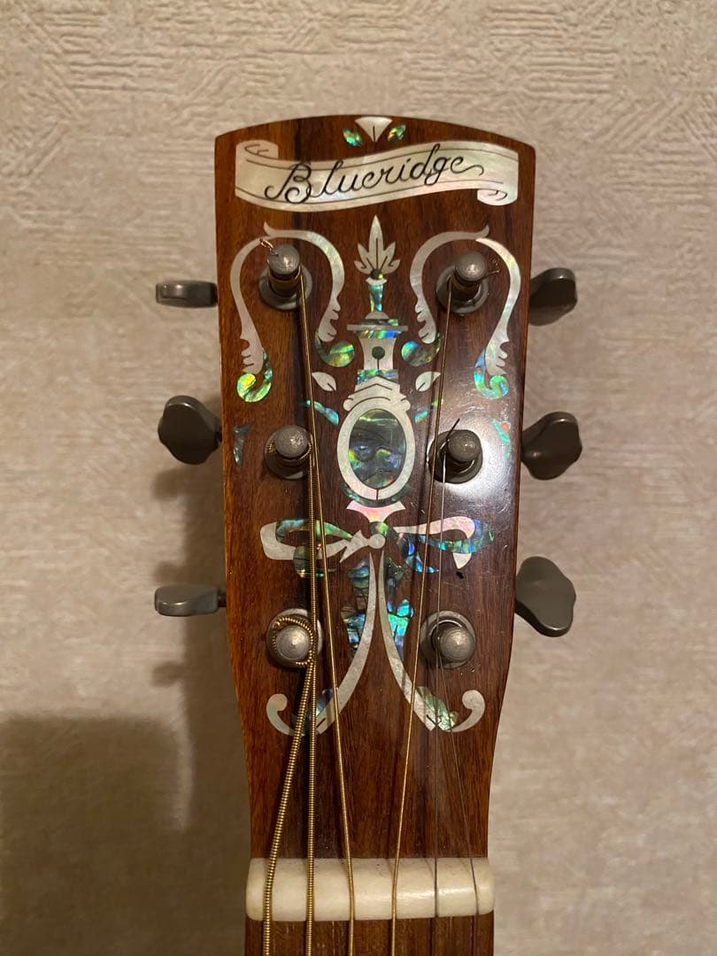 Blue Ridge BR-140 オール単板