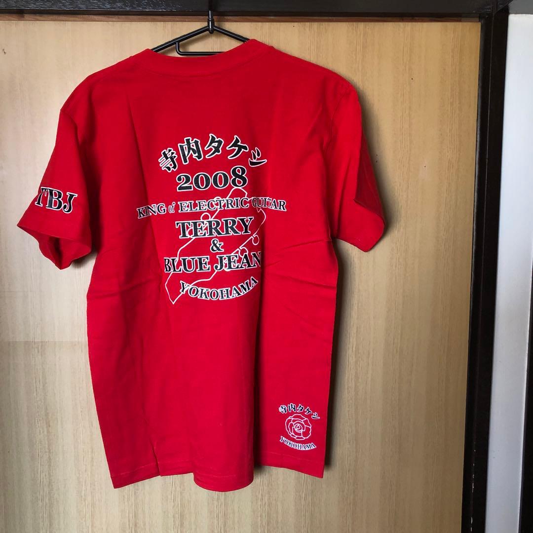 Terry&blue jeans(記念ピック)+寺内関連ピック激レア品