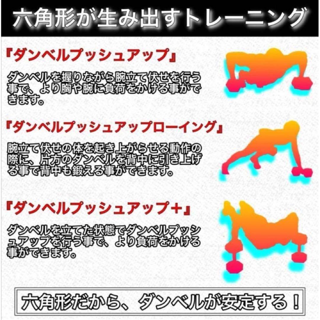 ダンベル 10kg 2個セット スタイリッシュ