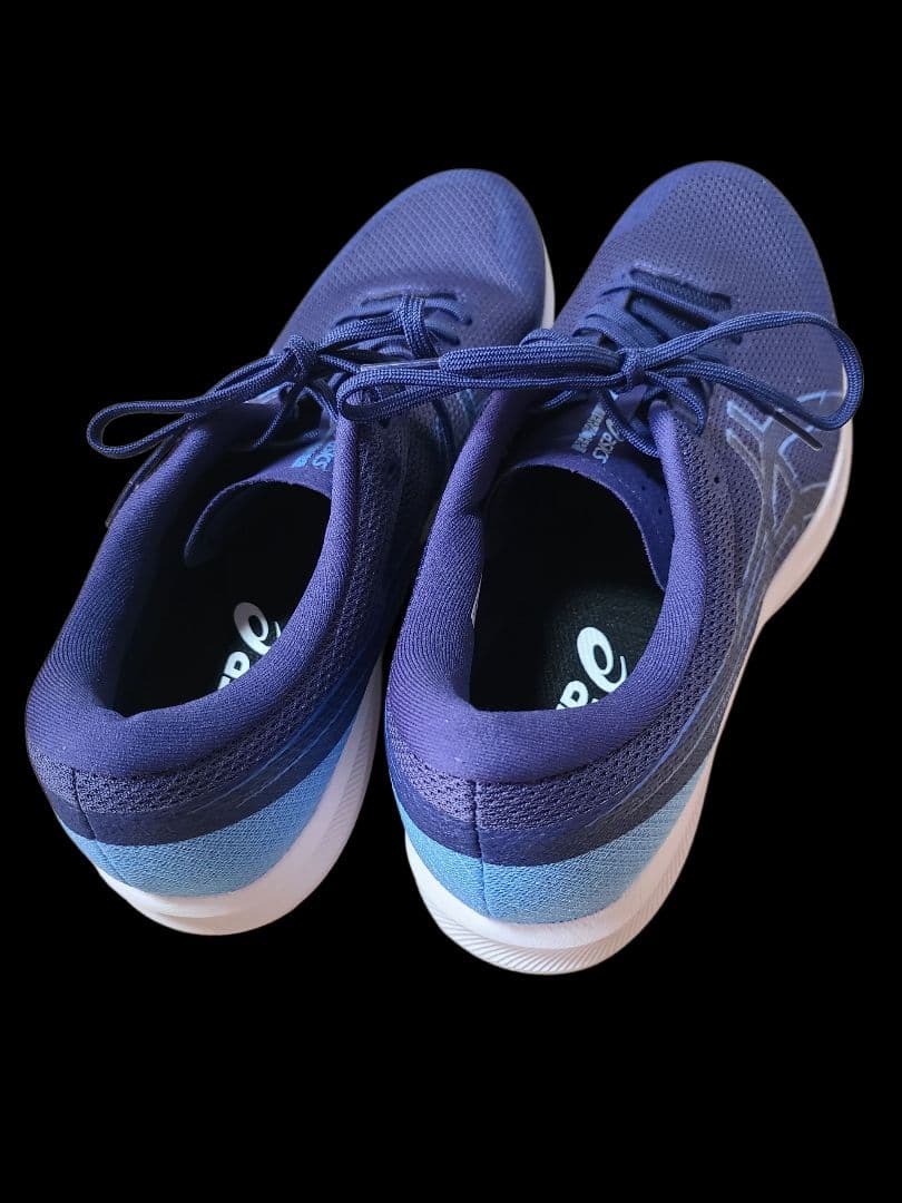 箱付き未使用品！アシックス asics LYTERACER 6 28.0cm