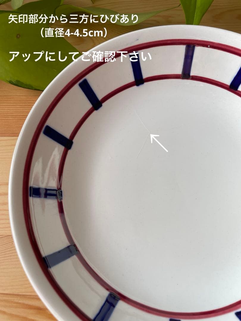 【訳あり】【レア】No.53フランス　ディゴワン　サルグミンヌ　バスク　深皿