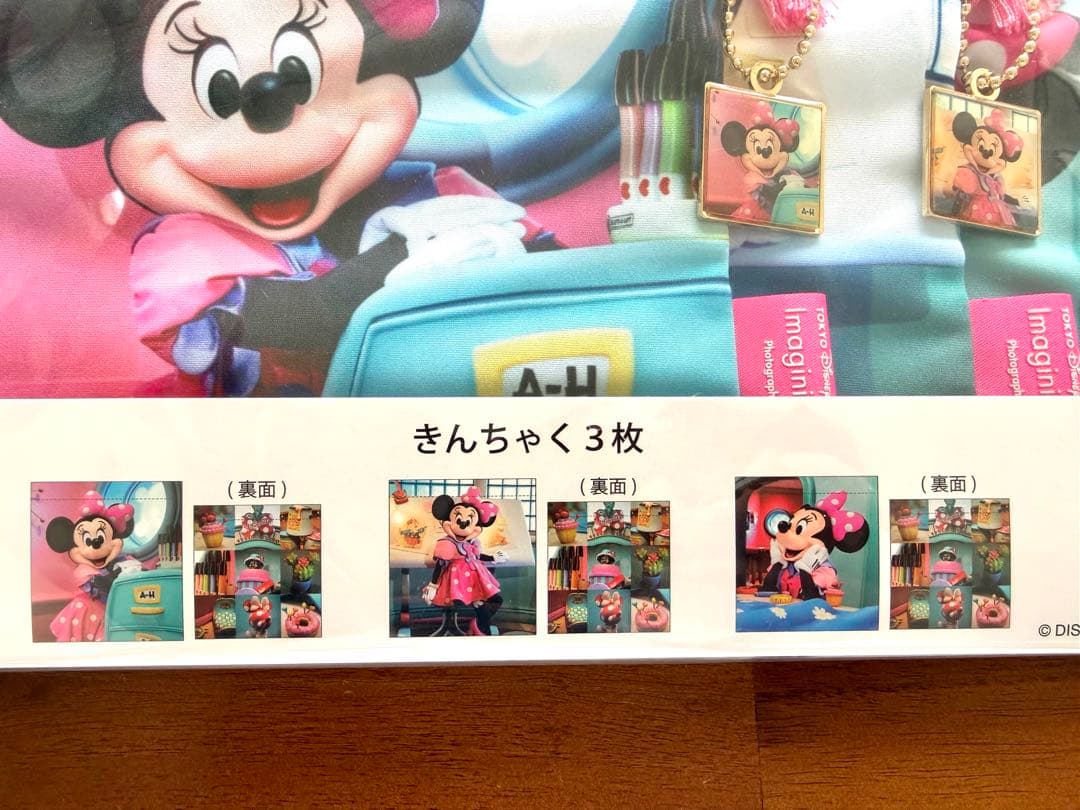 【新品未使用】東京ディズニーリゾート 実写　ミニーちゃん　5点セット　まとめ売り