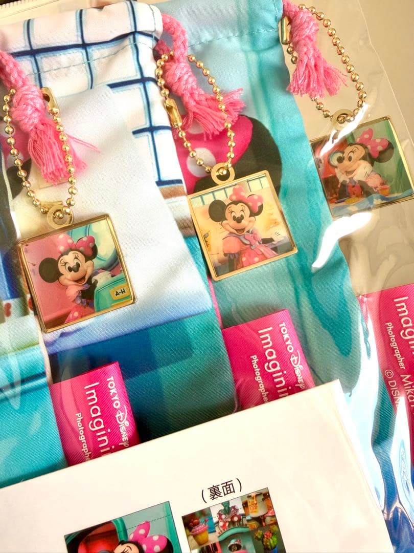 【新品未使用】東京ディズニーリゾート 実写　ミニーちゃん　5点セット　まとめ売り