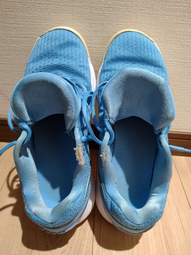 NIKE ナイキ ハイパーダンク2017 low 25cm
