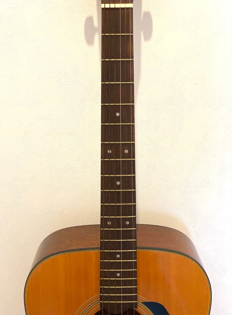 【送料込み】Morris モーリス MD-502 アコースティック ギター