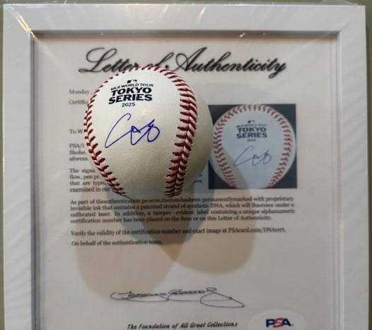 大谷翔平 直筆サインボール PSA/DNA社認証 2025年 MLB東京シリーズ