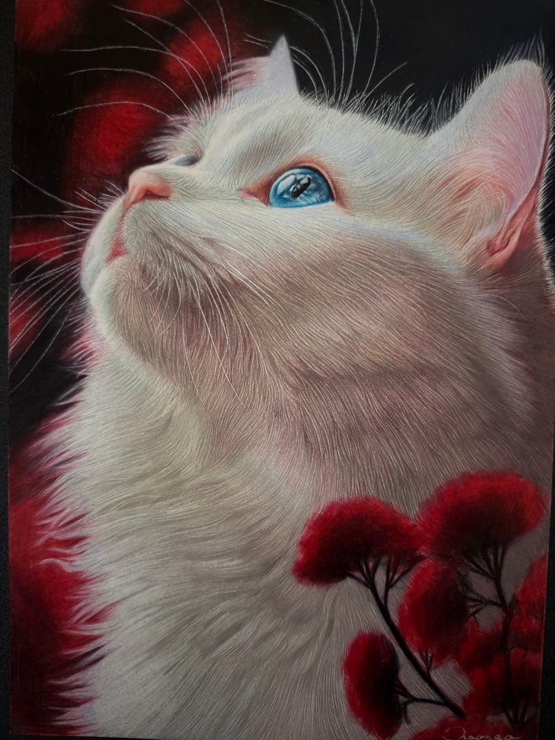 色鉛筆画 A4 蒼い瞳の白猫