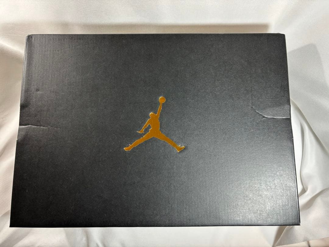 NIKE Air Jordan golf ADG4 27.5cm スパイクレス