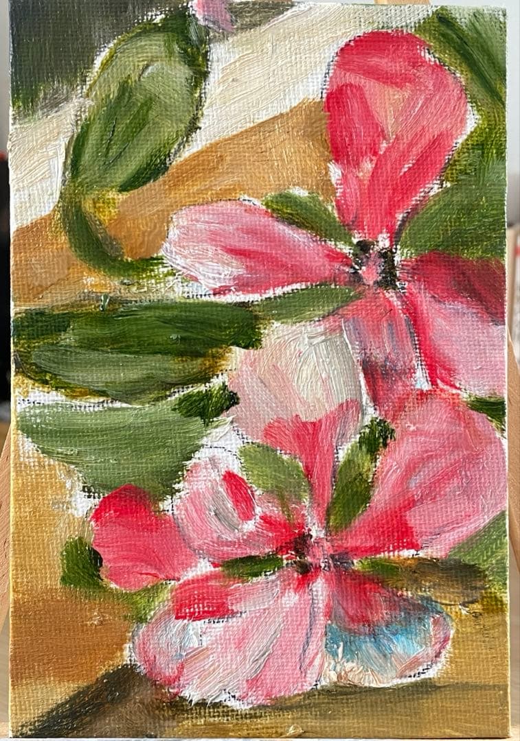 【絵画】花 ニチニチソウ
