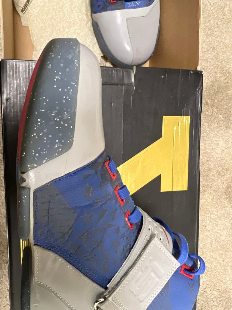 シューズ(男性用) Nike Zoom Lebron V \"ALL STAR 2008\" OG
