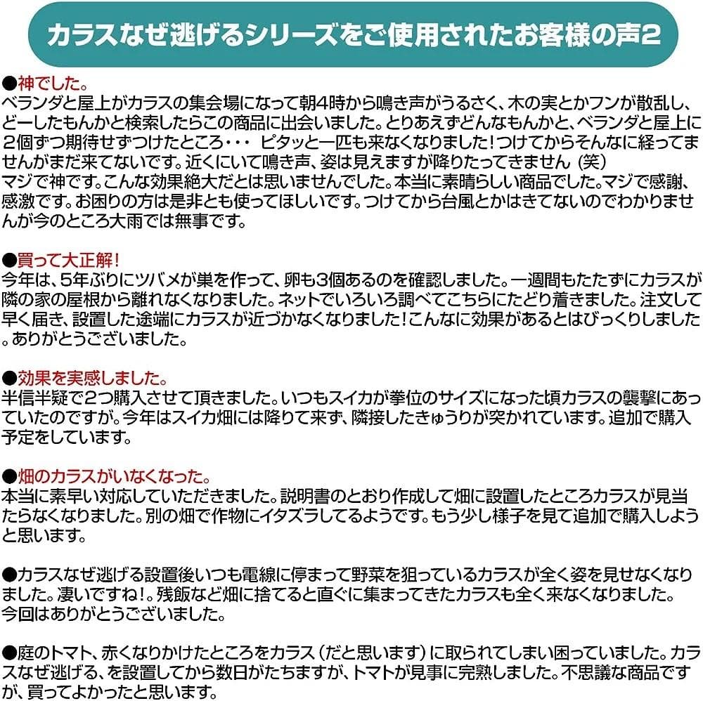 カラスなぜ逃げるキング１０個セット カラス 撃退 カラスよけ カラス対策