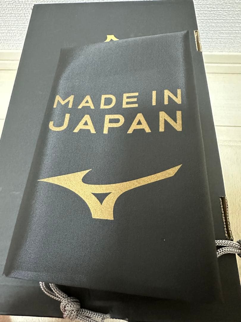 モレリアネオ4β JAPAN