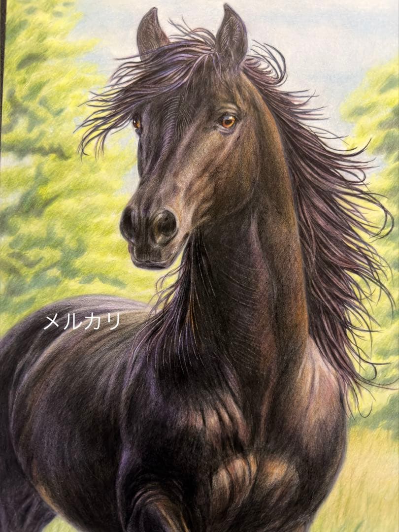 色鉛筆画 A4 風を纏う黒馬