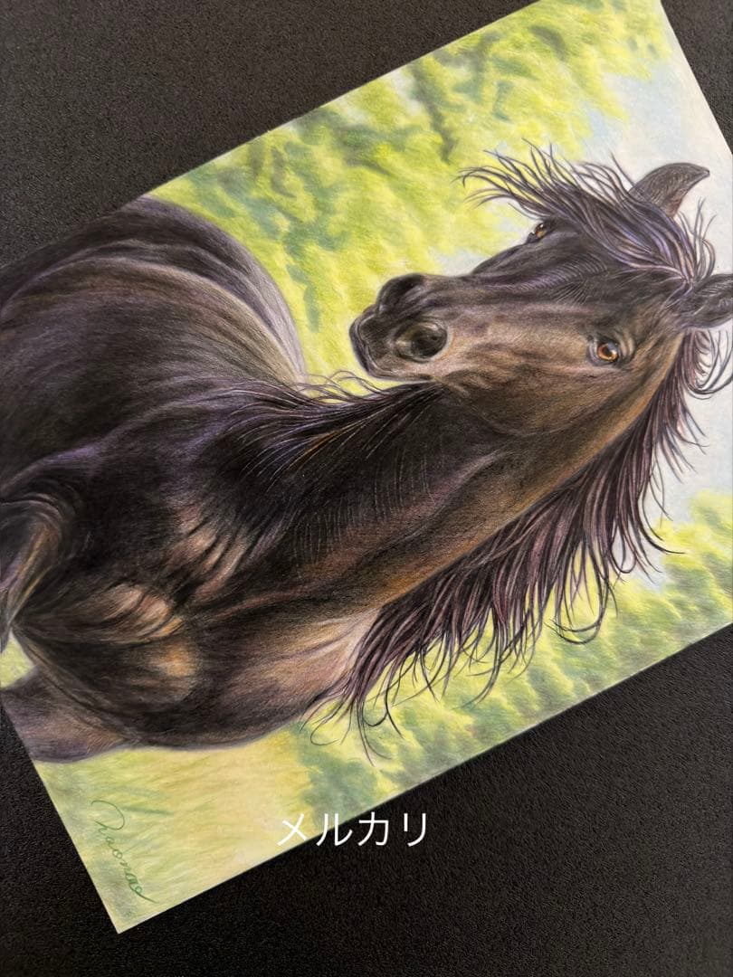 色鉛筆画 A4 風を纏う黒馬
