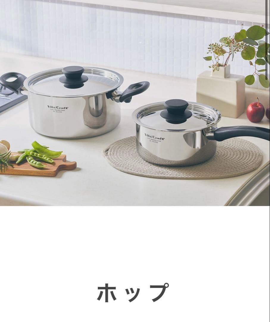 vita craft ビタクラフト　ホップ　20cm 両手鍋　No.3734