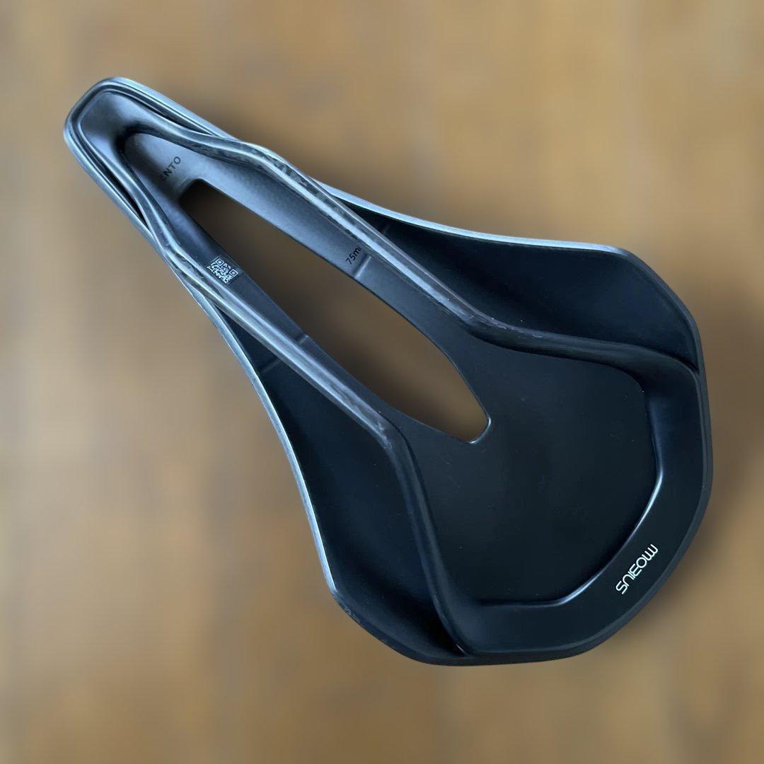 Fizik Vento Argo 00 carbon サドル