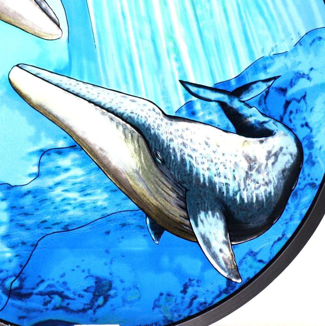 青い海の中の二頭のクジラ 大型ヴィンテージ ステンドグラス アメリカ自然史博物館