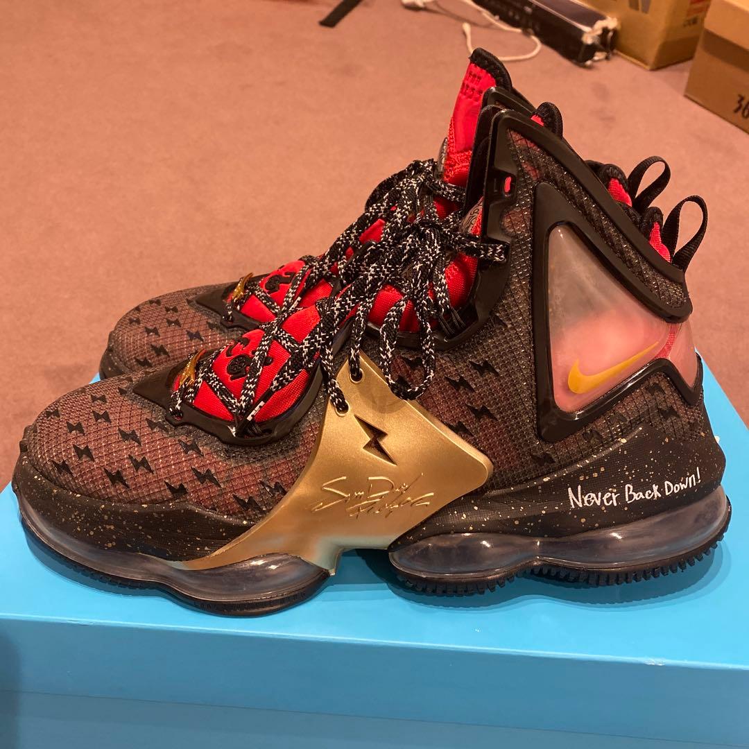 レブロン19 \" Doernbecher\" 日本未発売 超レアカラー　　28cm