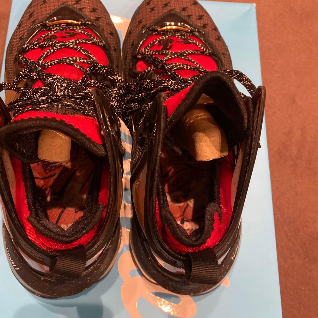 レブロン19 \" Doernbecher\" 日本未発売 超レアカラー　　28cm