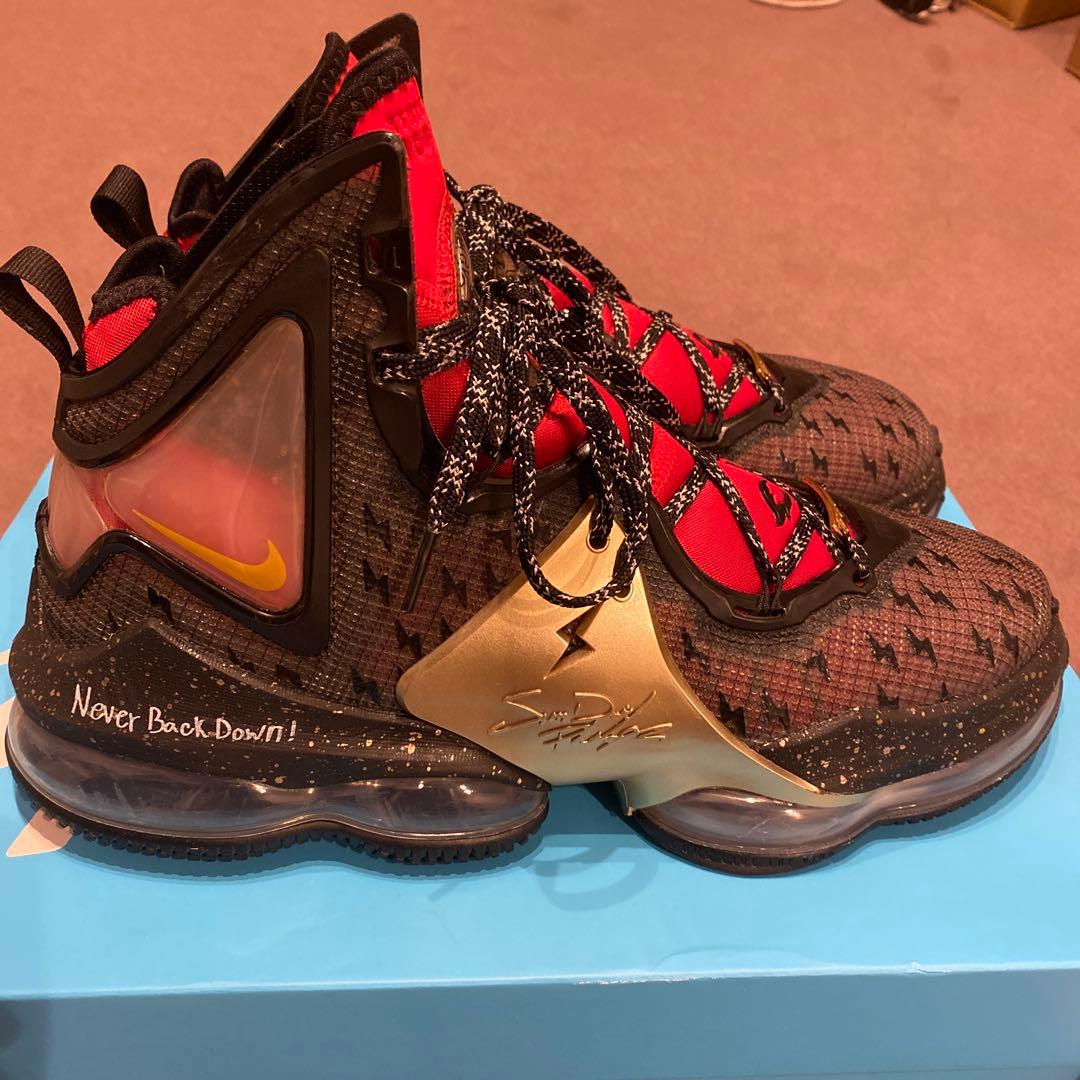 レブロン19 \" Doernbecher\" 日本未発売 超レアカラー　　28cm