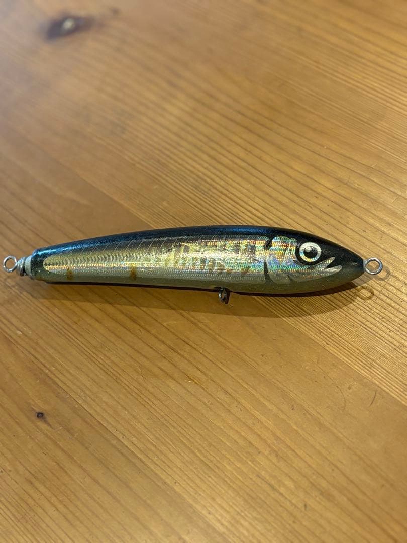 Carpenter カーペンター ブルーフィッシュ BF60-170