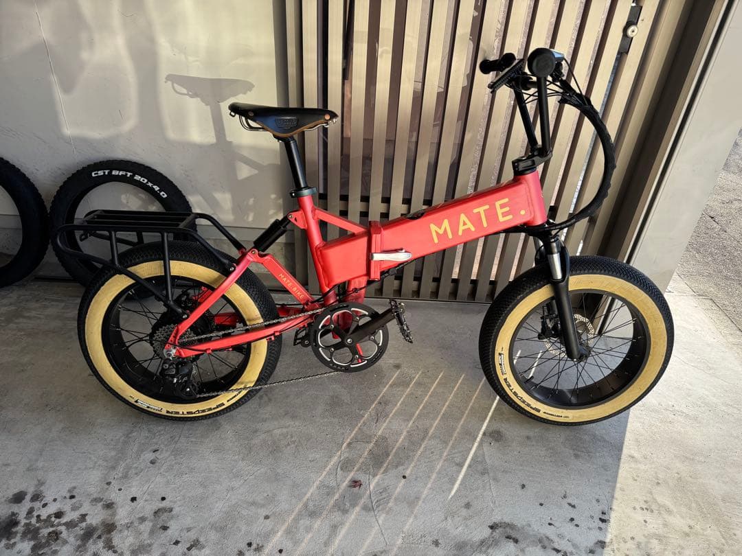 MATE X 250 BMX CUSTOM カラー:カリビアンコーラル