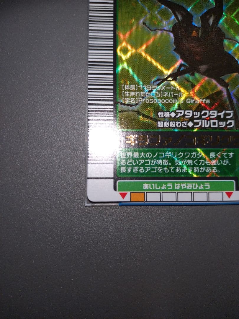 2003秋 ギラファノコギリクワガタ美品