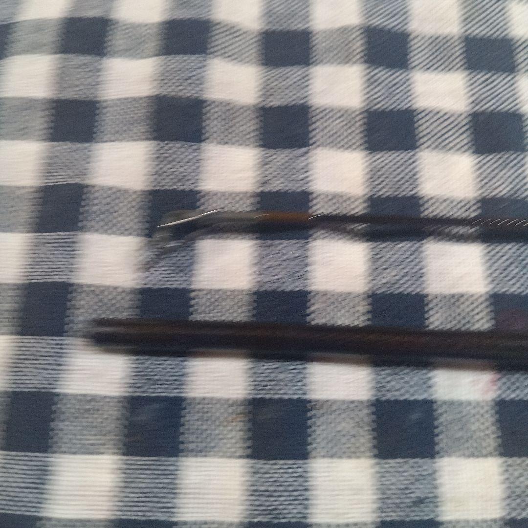 トップウォーターロッド