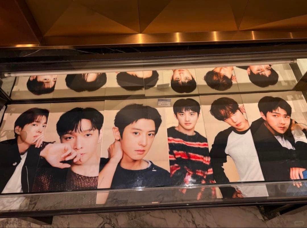 アイドル EXO D.O.