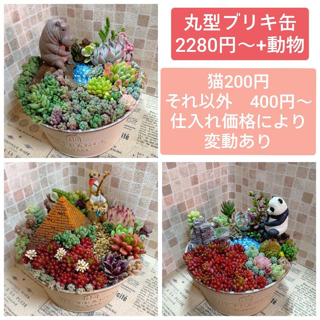 お問い合わせ*オーダーページ