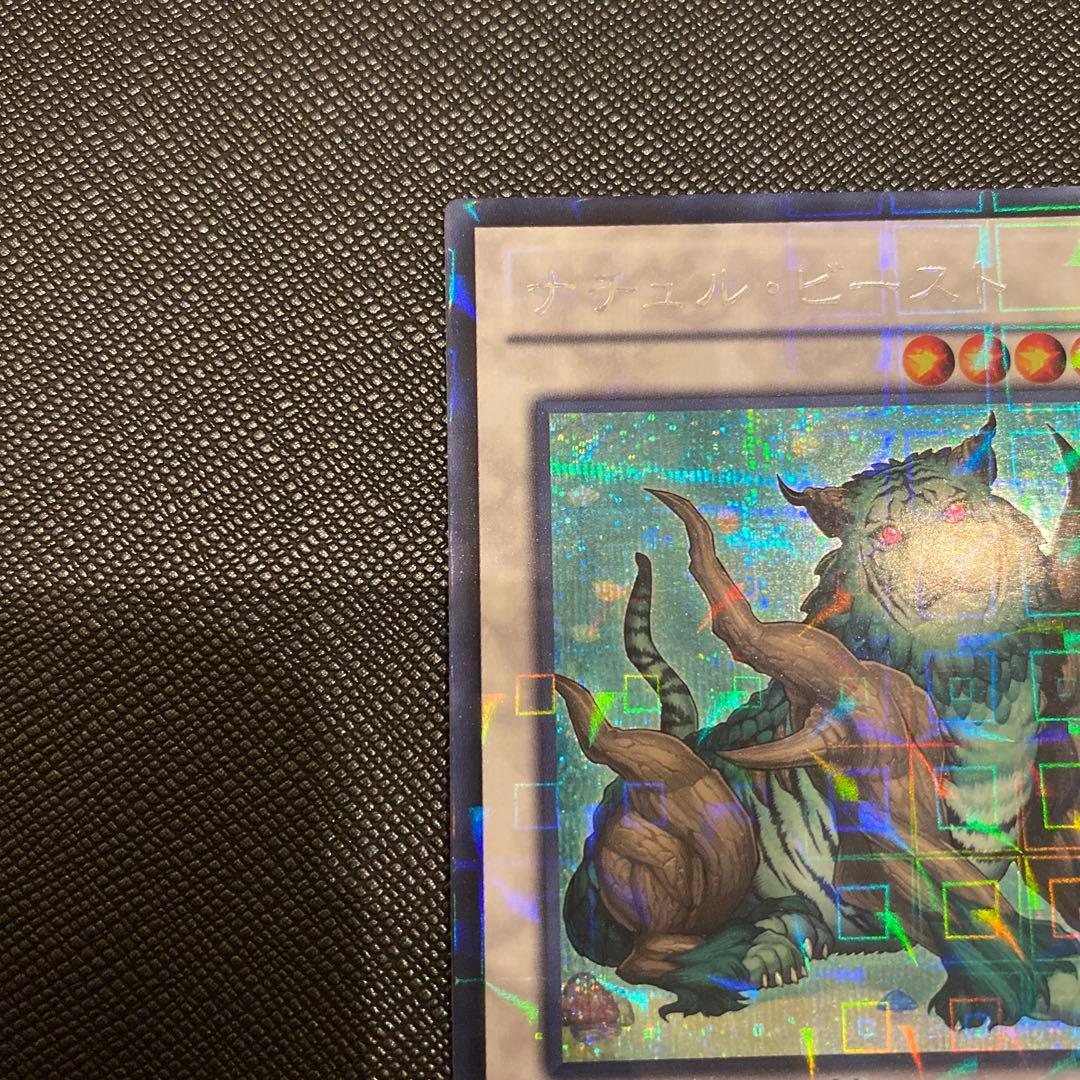 遊戯王　ナチュル・ビースト　DTCシークレットレア