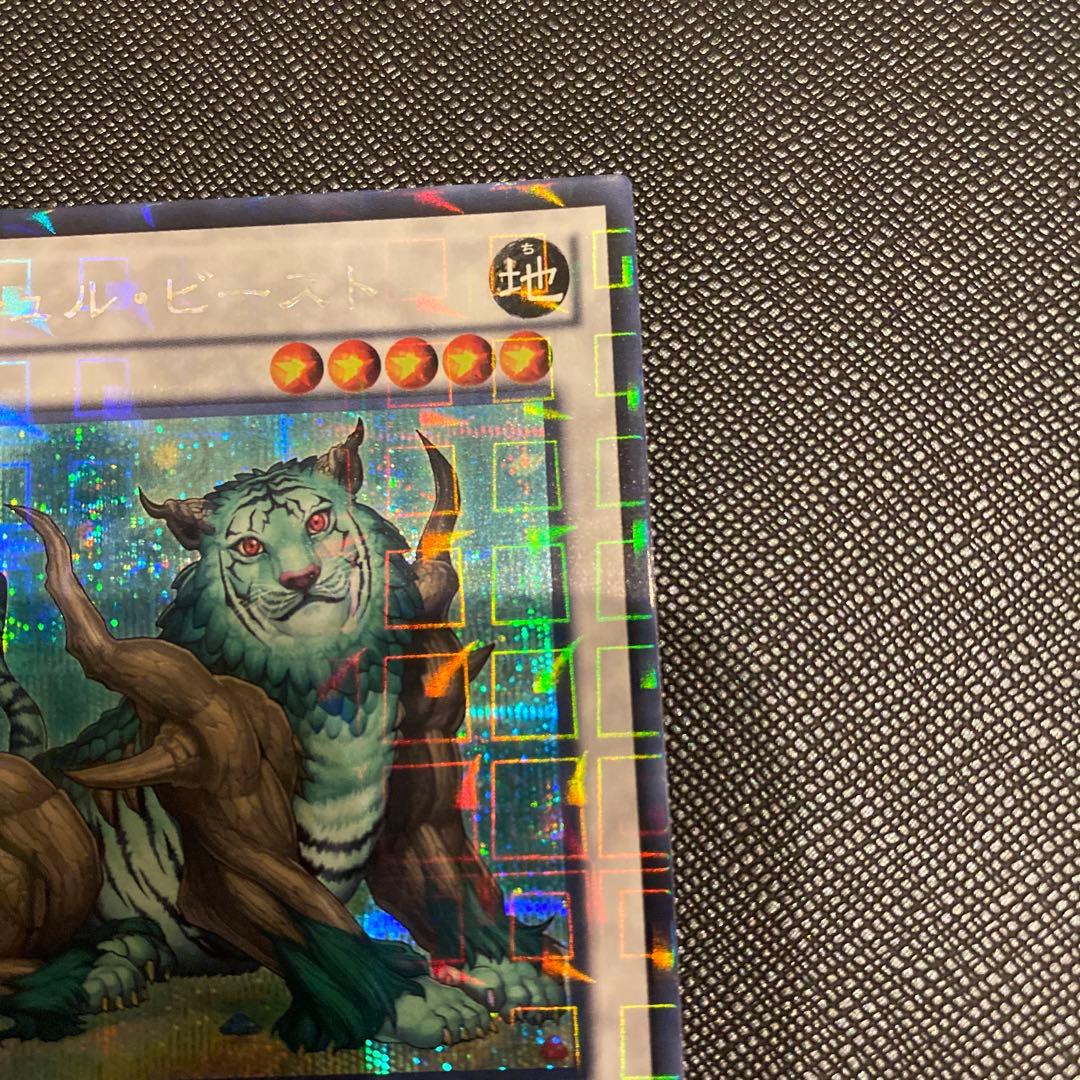 遊戯王　ナチュル・ビースト　DTCシークレットレア