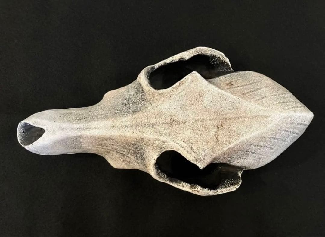 ACQ鉢　scull head