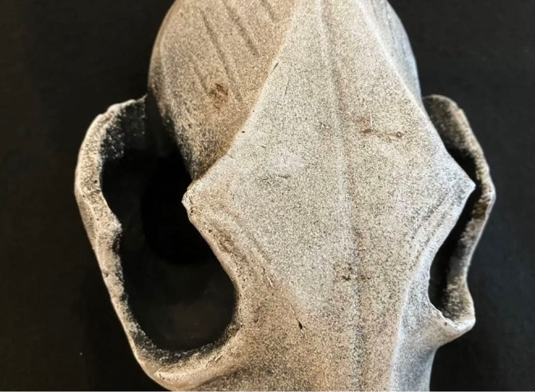 ACQ鉢　scull head