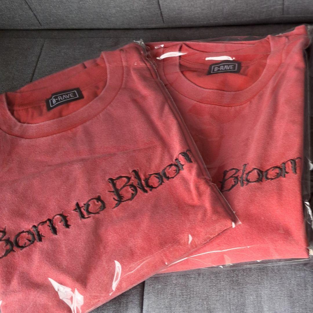 HANA Tシャツ Lサイズ ２枚 バラ売り希望の方はご相談ください