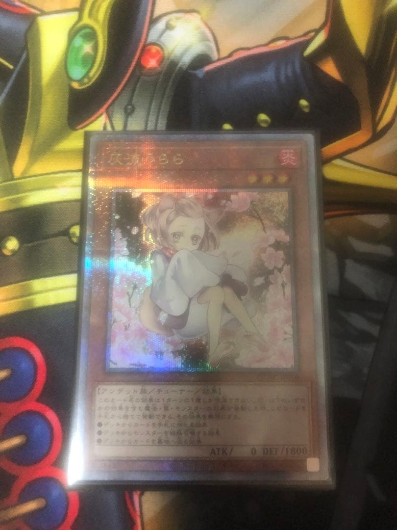 遊戯王 灰流うらら 絵違い 25th クオシク