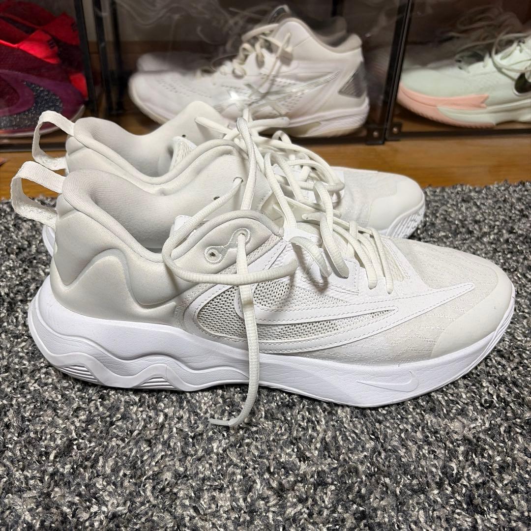 NIKE ヤニスイモータリティ3