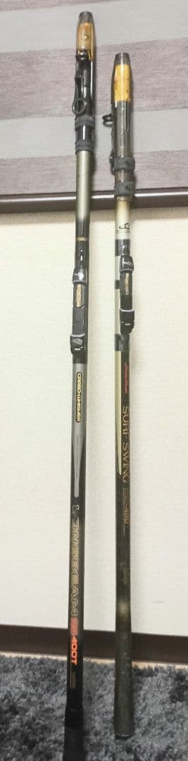 ダイワカーボウィスカーロングビーム25-400T&サーフスイング25-450