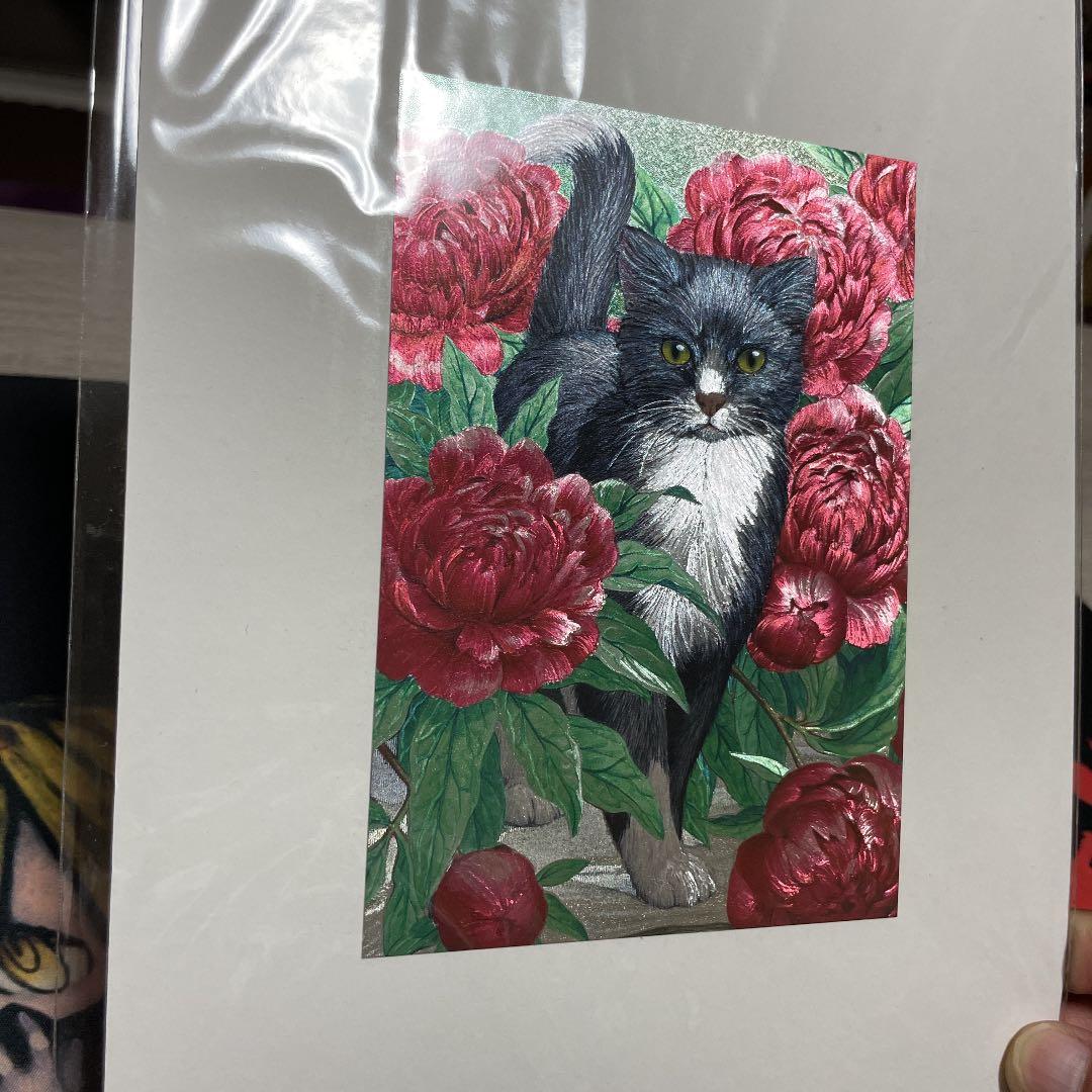庭先の黒猫