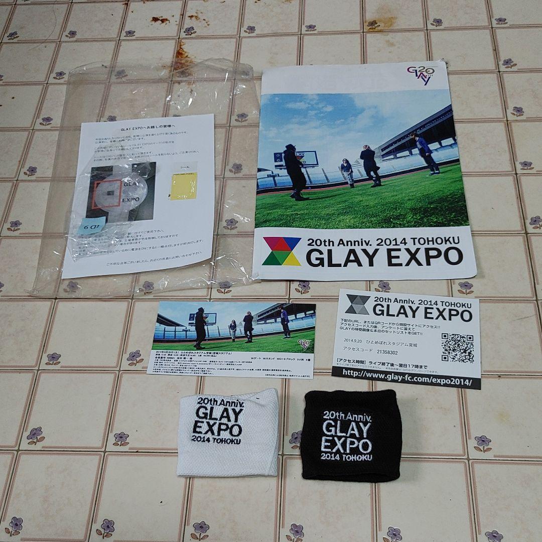 GLAY パンフレット等グッズセット