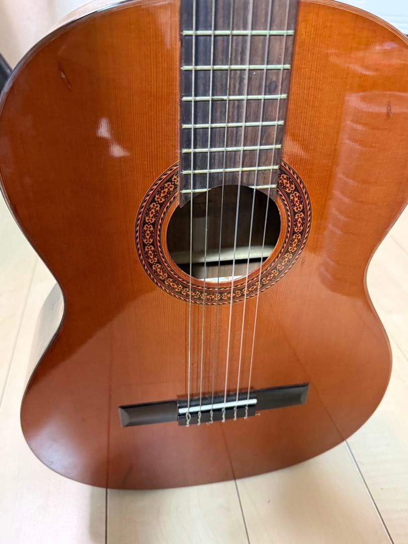 Morris モーリス　M-10アコースティックギター