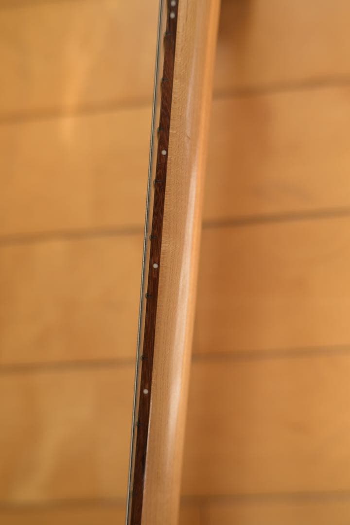 コンポーネントギター ストラトキャスター Stratocaster