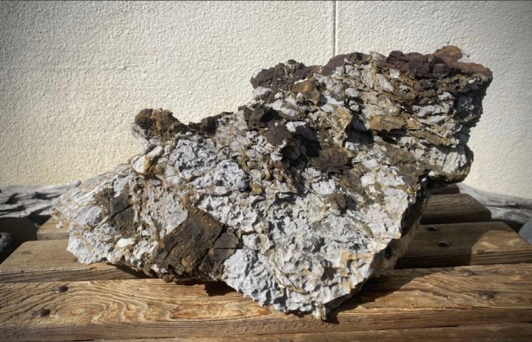 6988 揖斐川太湖石 ウブ 横42cm 14kg