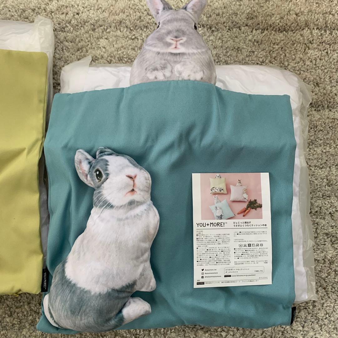 ピ*ノ様 2個　しらとあきこ ぴょこっと顔出すうさぎとくつろぐクッションの会　フ