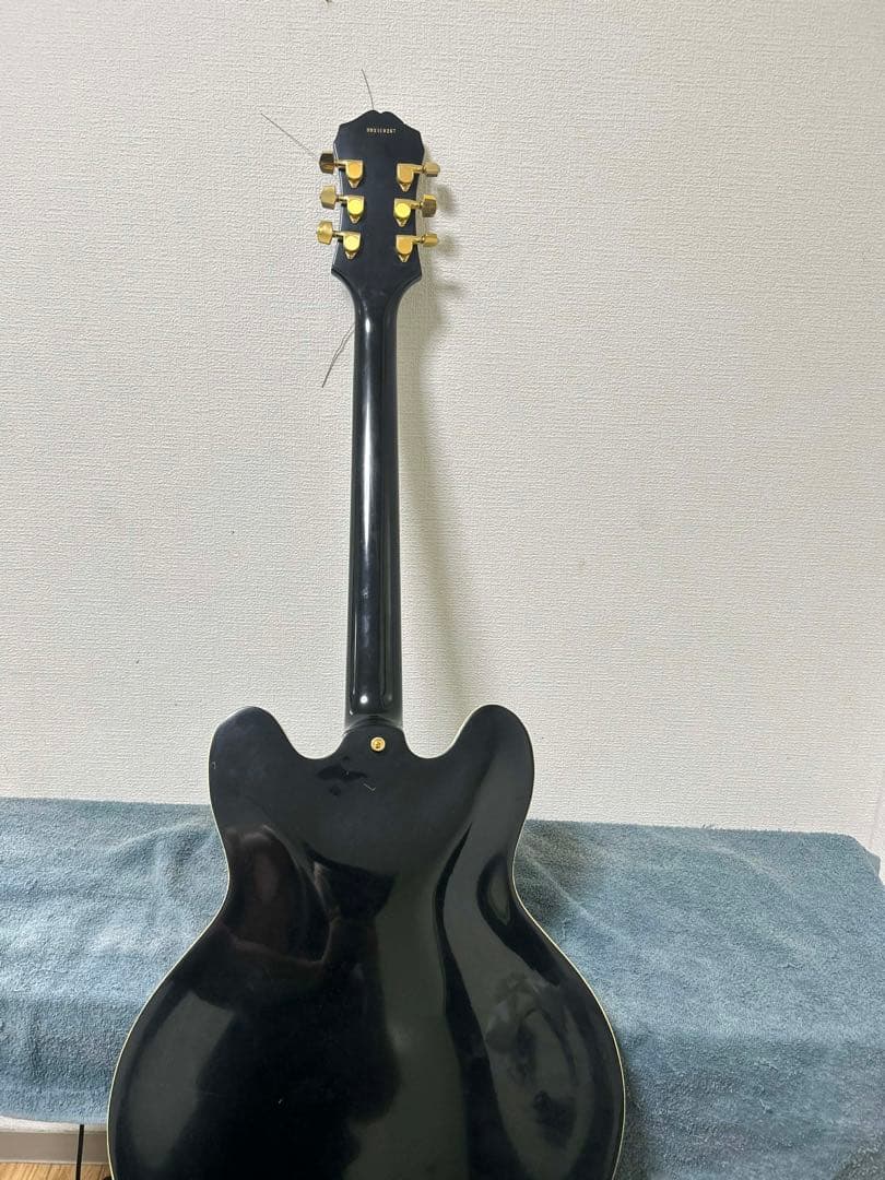 ギター Sheraton II VS Semi-Acoustic Guitar